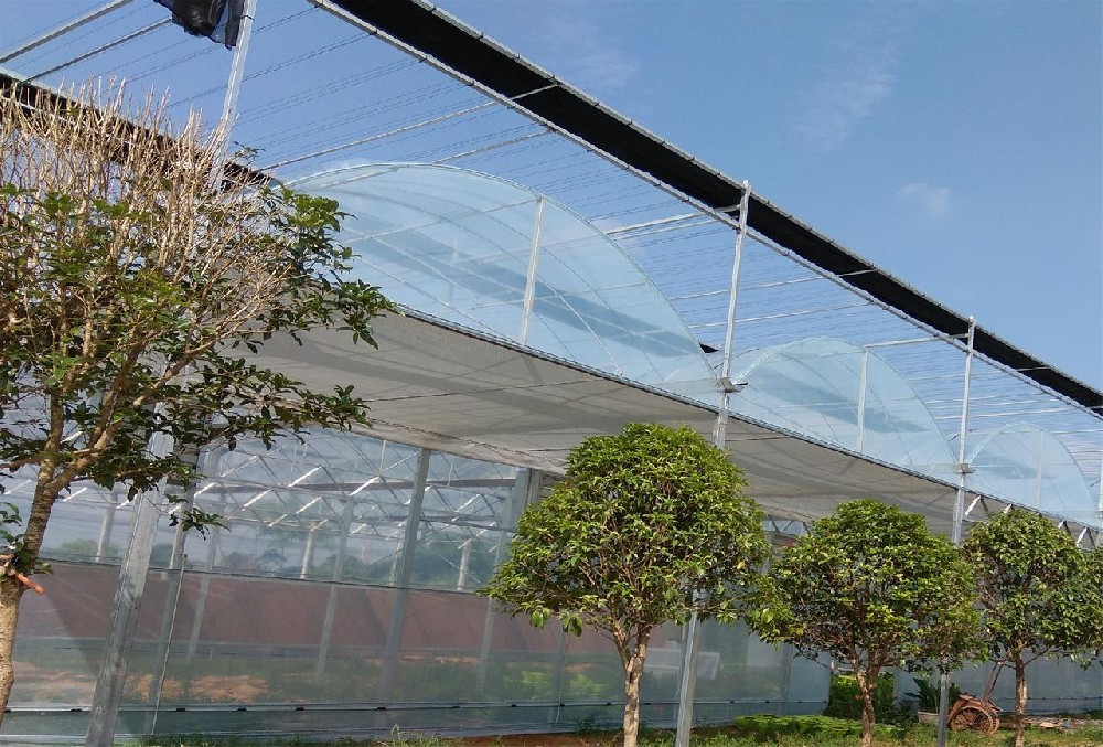 連棟薄膜溫室大棚