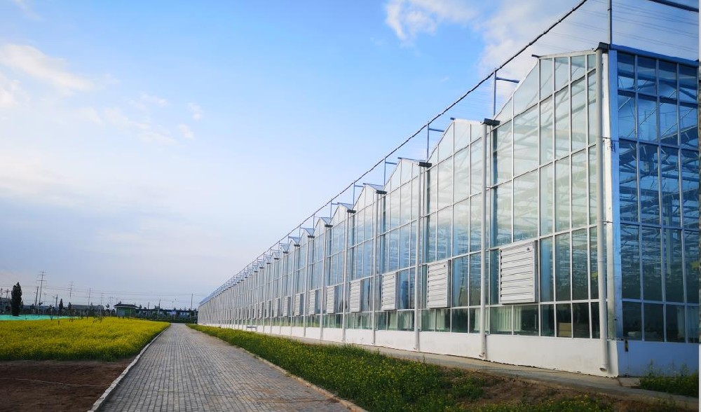 建設(shè)連棟薄膜溫室好呢，還是玻璃溫室大棚好呢