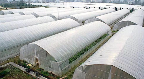 溫室大棚應(yīng)該如何選擇性價比最高？