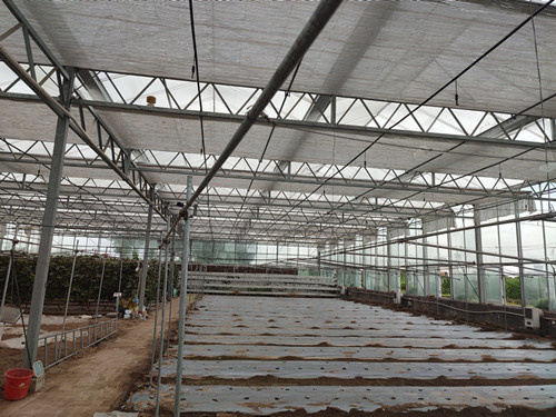 溫室大棚如何應(yīng)對雨雪天氣？